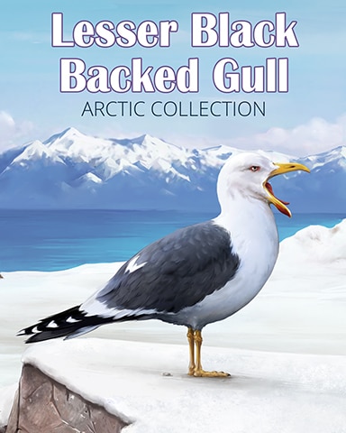Lesser Black-Backed Gull Arctic Animals Badge - Pogo™ Slots