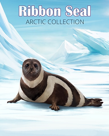Ribbon Seal Arctic Animals Badge - Jet Set Solitaire