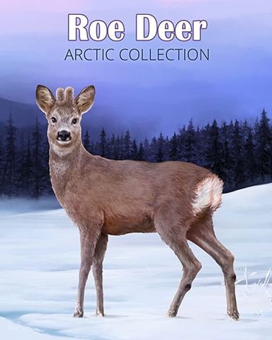 Roe Deer Arctic Animals Badge - Tri-Peaks Solitaire HD