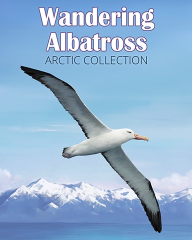 Wandering Albatross Arctic Animals Badge - Mahjong Safari HD