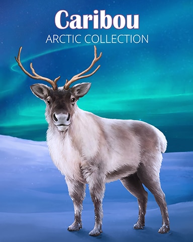 Caribou Arctic Animals Badge - World Class Solitaire HD