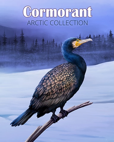 Cormorant Arctic Animals Badge - Trizzle