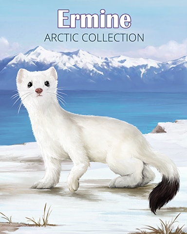 Ermine Arctic Animals Badge - Word Whomp HD