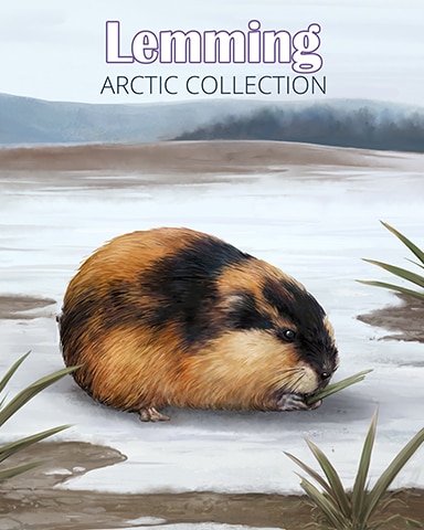 Lemming Arctic Animals Badge - First Class Solitaire HD