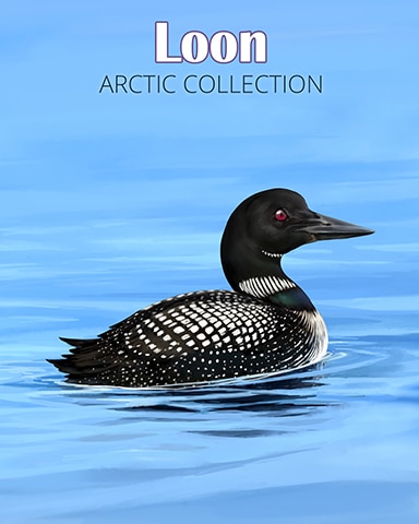 Loon Arctic Animals Badge - Spades HD