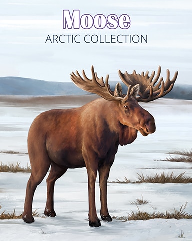 Moose Arctic Animals Badge - First Class Solitaire HD