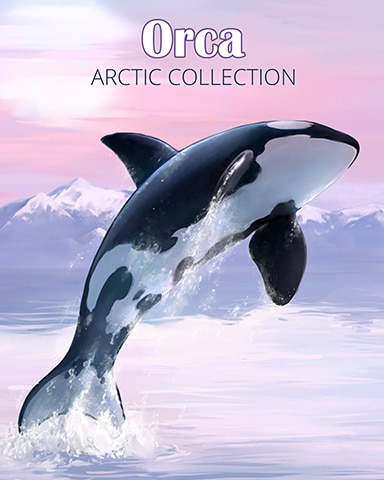 Orca Arctic Animals Badge - Poppit! Bingo