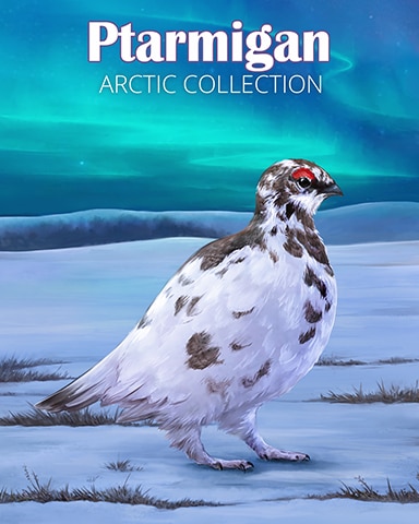 Ptarmigan Arctic Animals Badge - First Class Solitaire HD