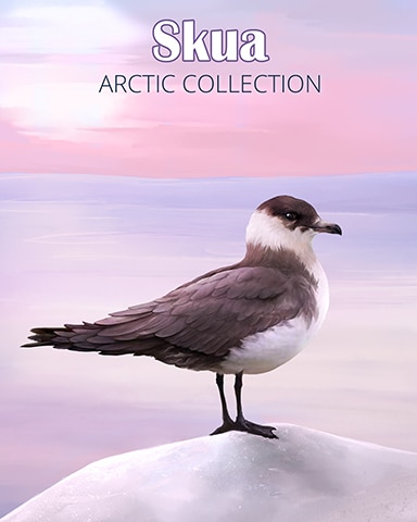 Skua Arctic Animals Badge - World Class Solitaire HD