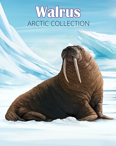 Walrus Arctic Animals Badge - Tri-Peaks Solitaire HD