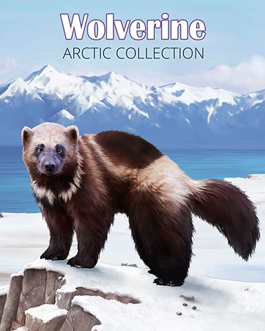 Wolverine Arctic Animals Badge - Crossword Cove HD
