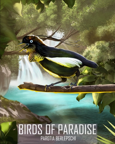 Bronze Parotia Birds Of Paradise Badge - Jungle Gin HD