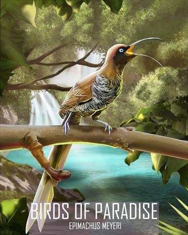Brown Sicklebill Birds Of Paradise Badge - Mahjong Garden HD