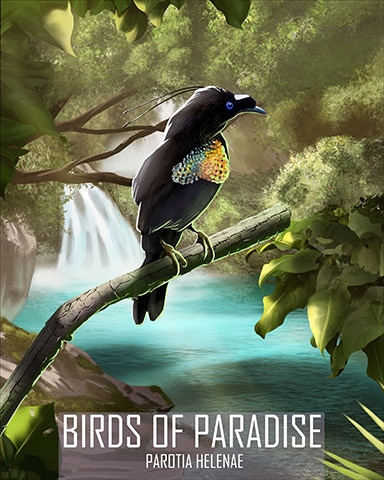 Eastern Parotia Birds Of Paradise Badge - Dice City Roller HD