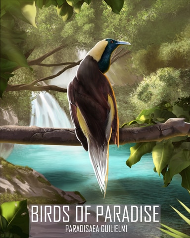 Emperor Bird-of-Paradise Birds Of Paradise Badge - Mahjong Sanctuary