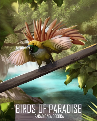 Goldie's Bird-of-Paradise Birds Of Paradise Badge - Word Whomp HD