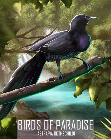 Huon Astrapia Birds Of Paradise Badge - Tri-Peaks Solitaire HD