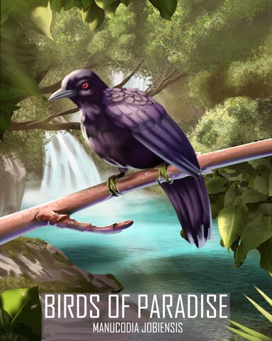 Jobi Manucode Birds Of Paradise Badge - Jet Set Solitaire