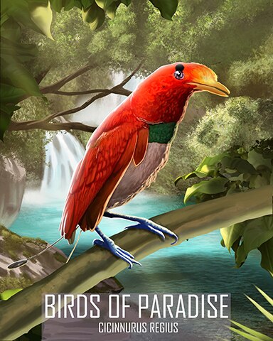 King Bird-of-Paradise Birds Of Paradise Badge - Canasta HD