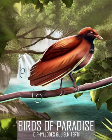 King Of Holland's Bird-of-Paradise Birds Of Paradise Badge - First Class Solitaire HD