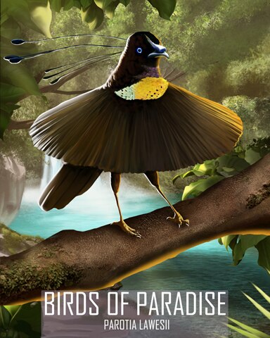 Lawless Parotia Birds Of Paradise Badge - Poppit! Bingo
