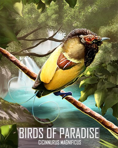 Magnificent Bird-of-Paradise Birds Of Paradise Badge - Spades HD