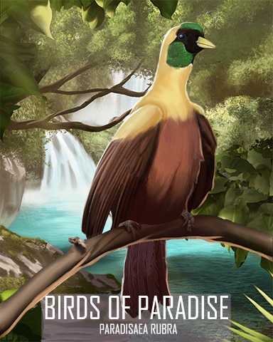 Red Bird-of-Paradise Birds Of Paradise Badge - StoryQuest