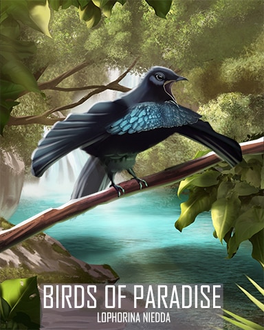 Vogelkop Superb Bird-of-Paradise Birds Of Paradise Badge - Dice City Roller HD