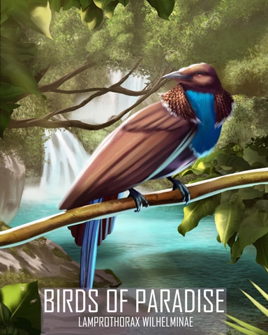 Wilhelmina's Riflebird Birds Of Paradise Badge - Mahjong Safari HD