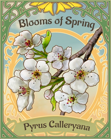 Celery Pear Blooms Of Spring Badge - Word Whomp HD