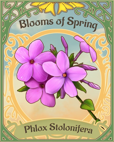 Creeping Phlox Blooms Of Spring Badge - Crossword Cove HD