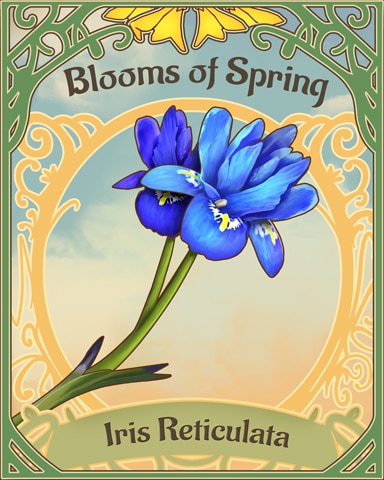 Netted Iris Blooms Of Spring Badge - Lumeno