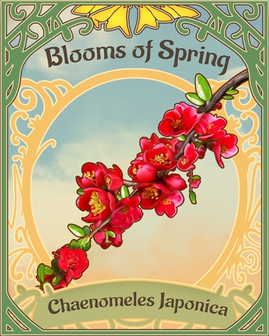 Japanese Quince Blooms Of Spring Badge - Tri-Peaks Solitaire HD