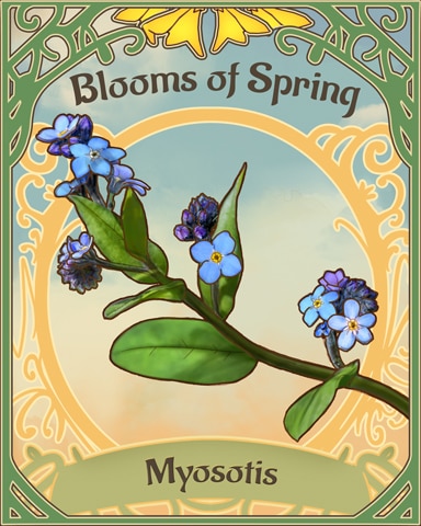 Forget Me Not Blooms Of Spring Badge - First Class Solitaire HD