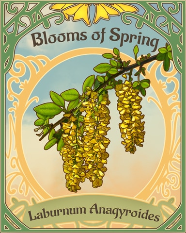 Golden Chain Blooms Of Spring Badge - Mahjong Safari HD