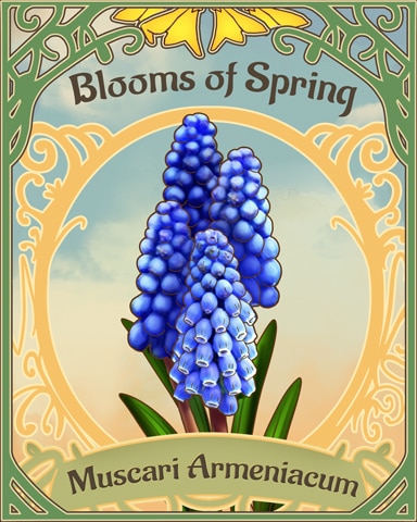 Grape Hyacinth Blooms Of Spring Badge - Mahjong Garden HD