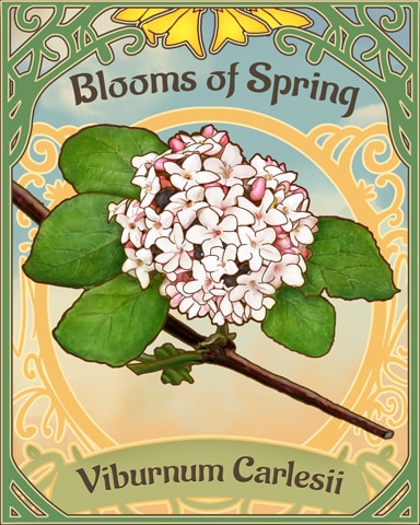 Arrowwood Blooms Of Spring Badge - Tri-Peaks Solitaire HD