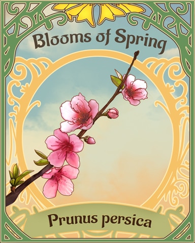 Peach Blooms Of Spring Badge - Pogo Daily Sudoku