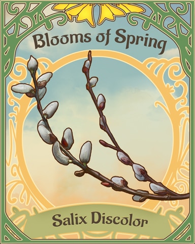 Pussy Willow Blooms Of Spring Badge - World Class Solitaire HD