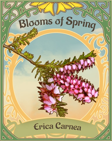 Spring Heath Blooms Of Spring Badge - Mahjong Safari HD