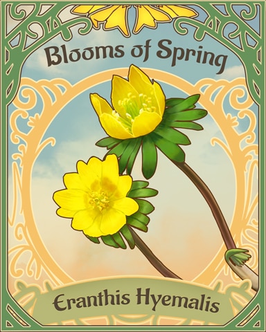 Winter Aconite Blooms Of Spring Badge - Quinn's Aquarium