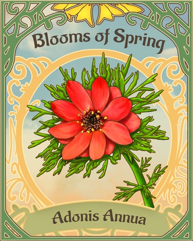 Pheasant's Eye Blooms Of Spring Badge - Canasta HD