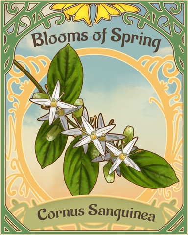 Dogwood Blooms Of Spring Badge - Jungle Gin HD