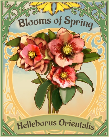 Lenten Rose Blooms Of Spring Badge - Claire Hart: Secret In The Shadows