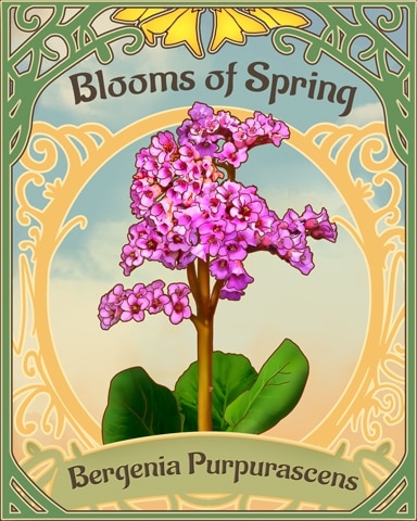 Purple Bergenia Blooms Of Spring Badge - Word Whomp HD