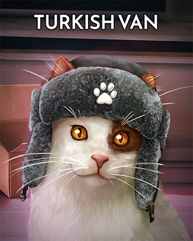 Turkish Van Cats In Hats Badge - Pogo™ Slots