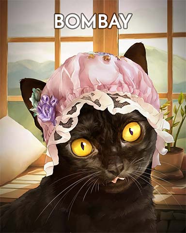 Bombay Cats In Hats Badge - Canasta HD