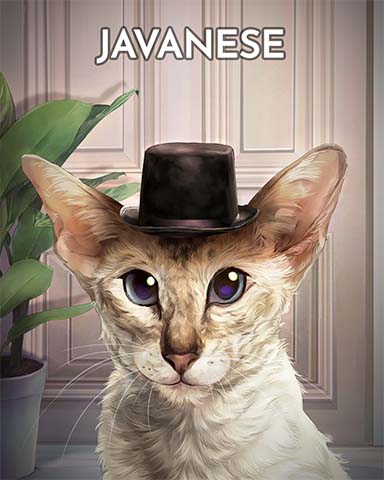 Javanese Cats In Hats Badge - Word Whomp HD