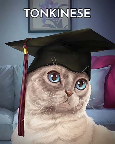 Tonkinese Cats In Hats Badge - Sweet Tooth Town