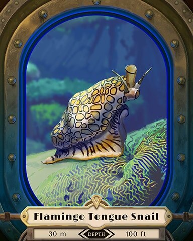 Flamingo Tongue Snail Deep Sea Creatures Badge - World Class Solitaire HD